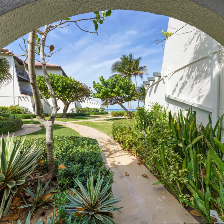 20260320152114 VP 20 rental