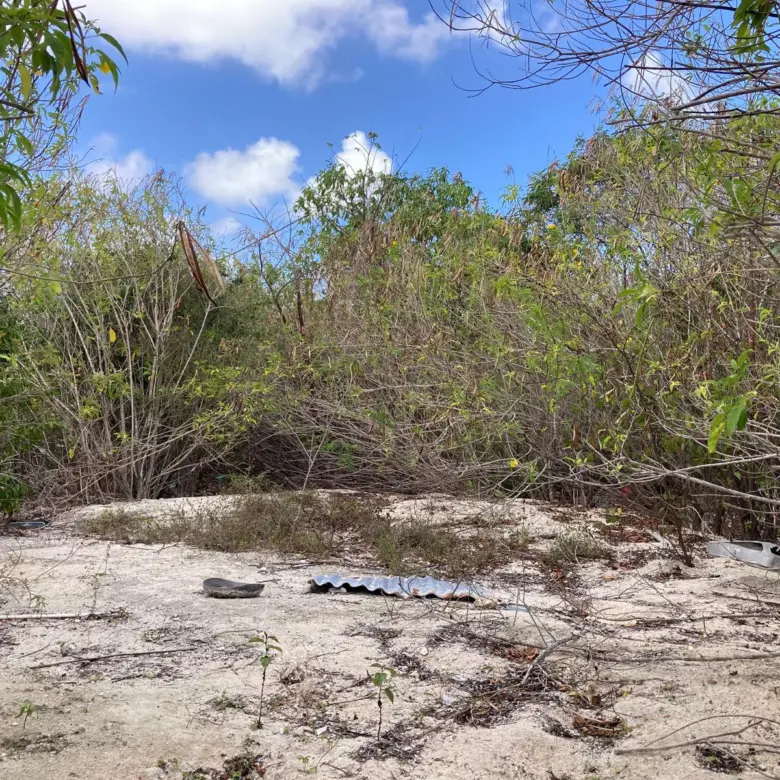 20260330110004 WhatsApp Image 20260330 at 105709