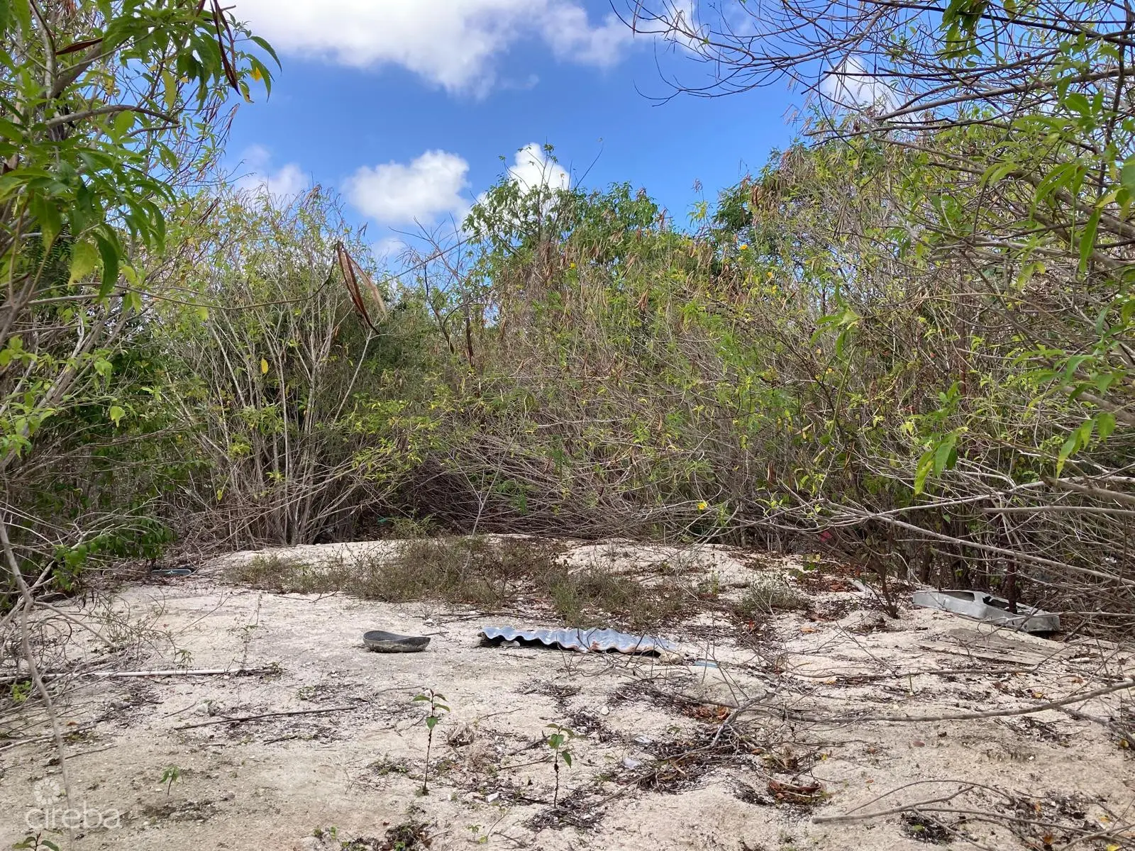 20260330110004 WhatsApp Image 20260330 at 105709