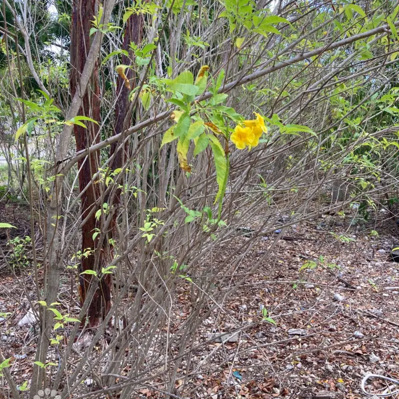 20260330110200 WhatsApp Image 20260330 at 105709