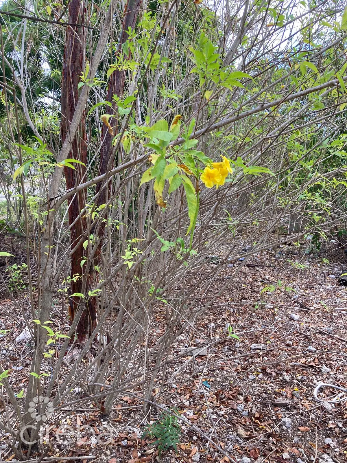 20260330110200 WhatsApp Image 20260330 at 105709