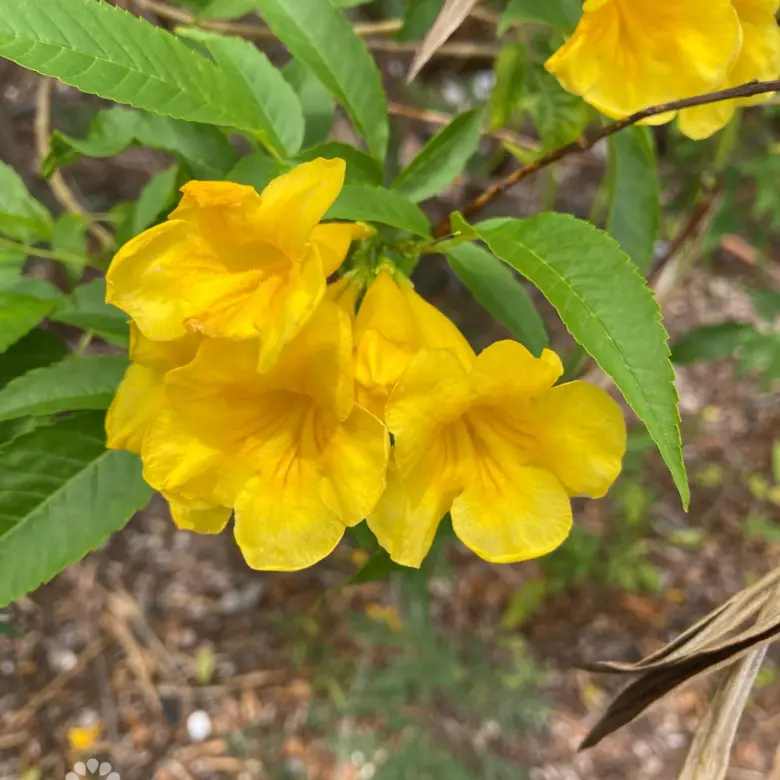 20260330110205 WhatsApp Image 20260330 at 105709