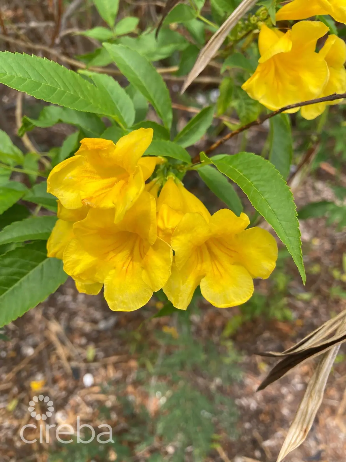 20260330110205 WhatsApp Image 20260330 at 105709