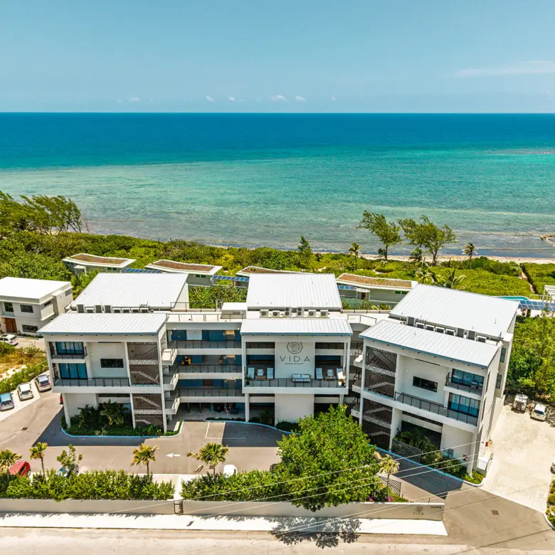 20260326011319 Vida5