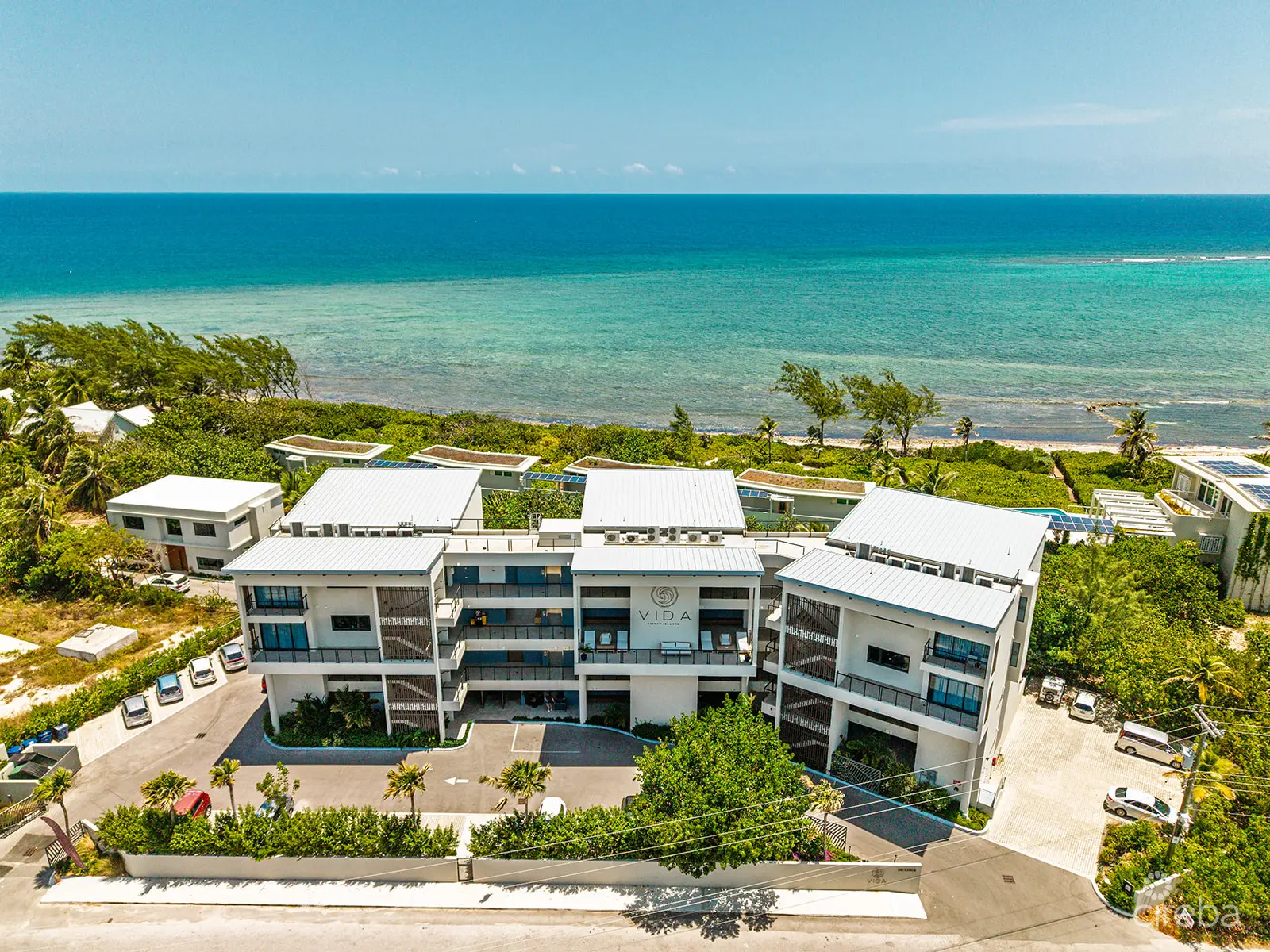 20260326011319 Vida5