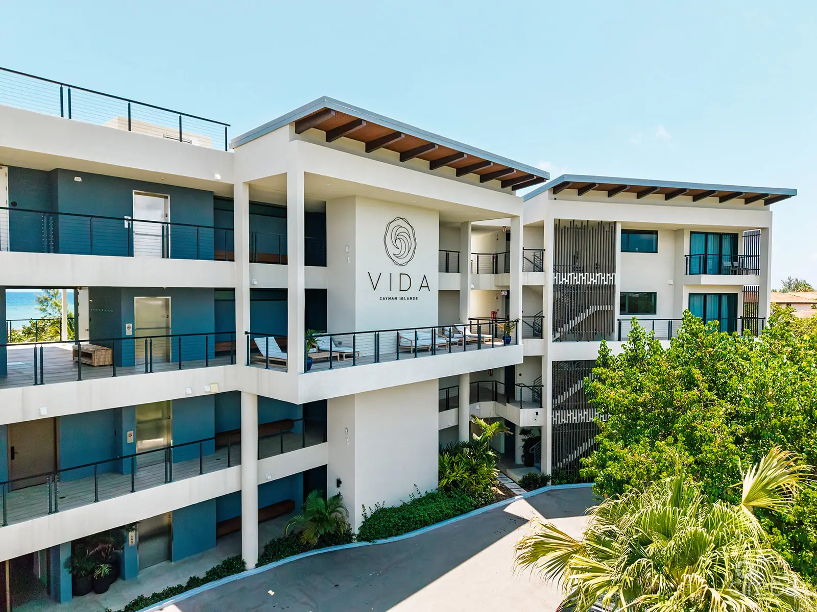 20260326011320 Vida8