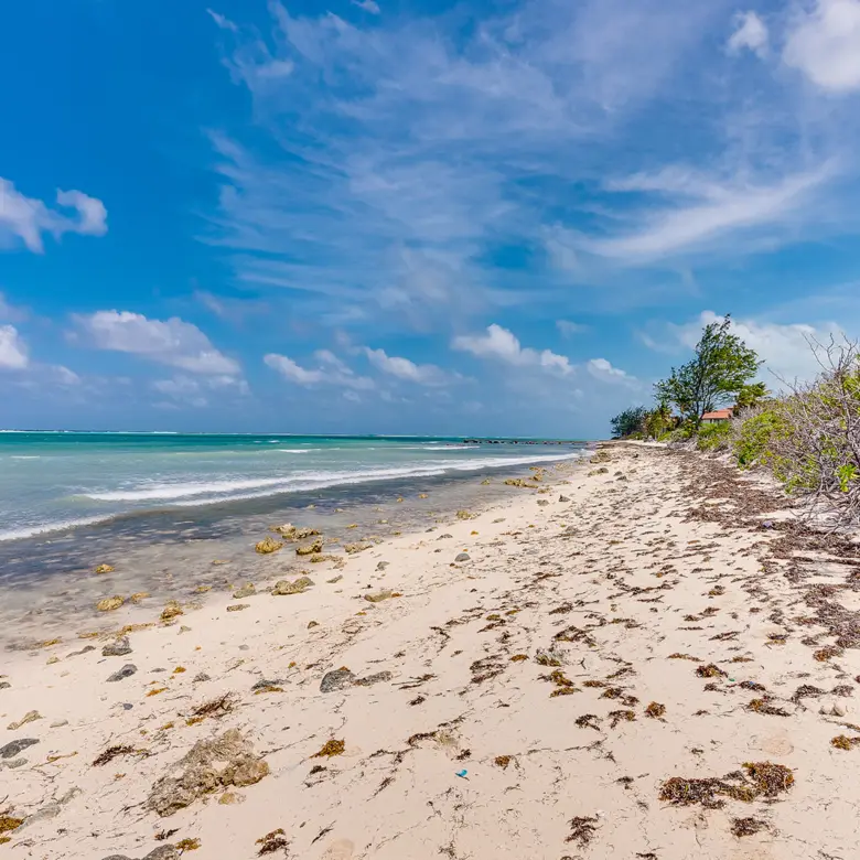 20260326011406 Vida13