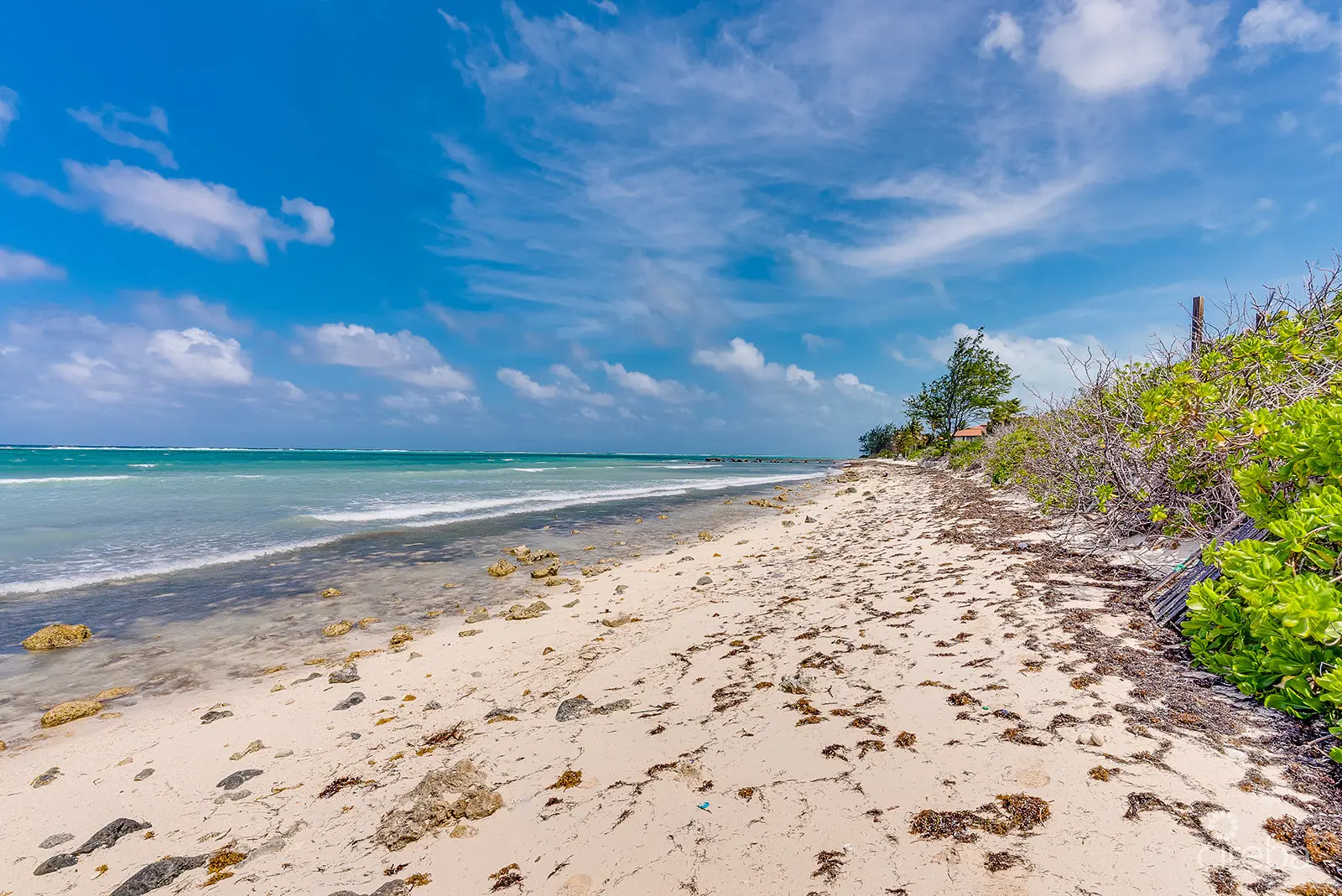 20260326011406 Vida13