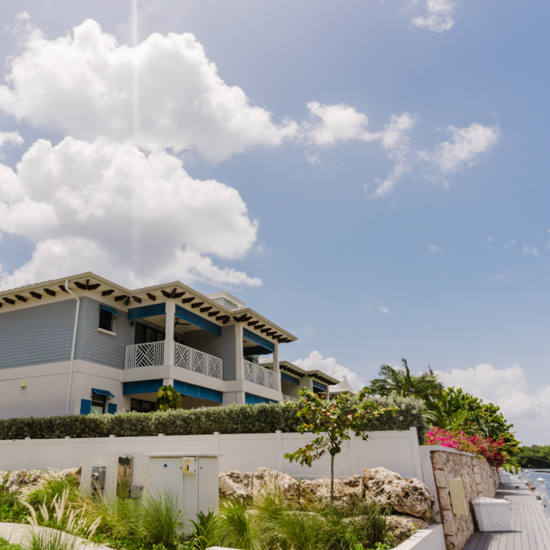 20261020142515 side view of Olea