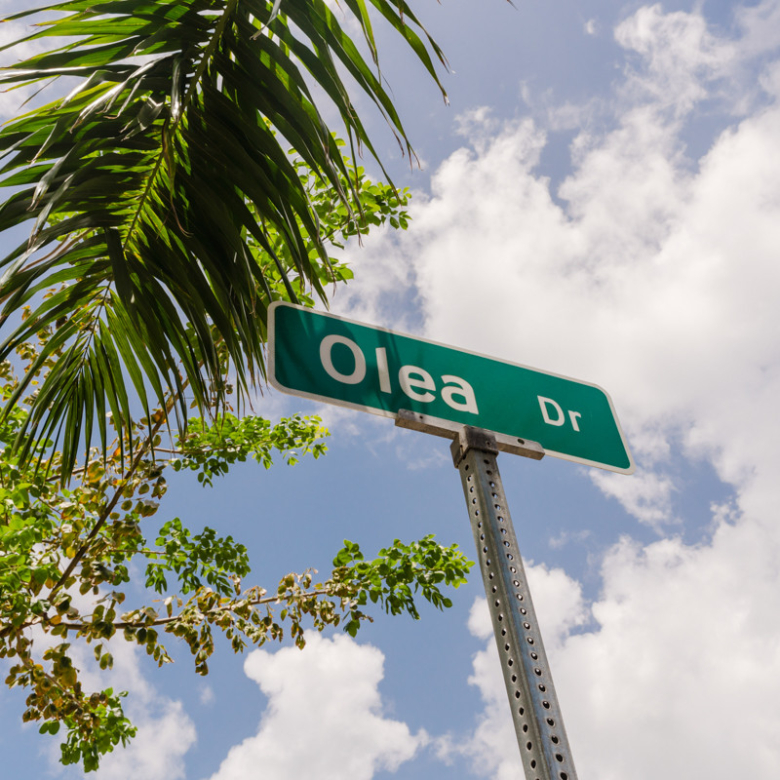 20261020142756 olea Dr Sign