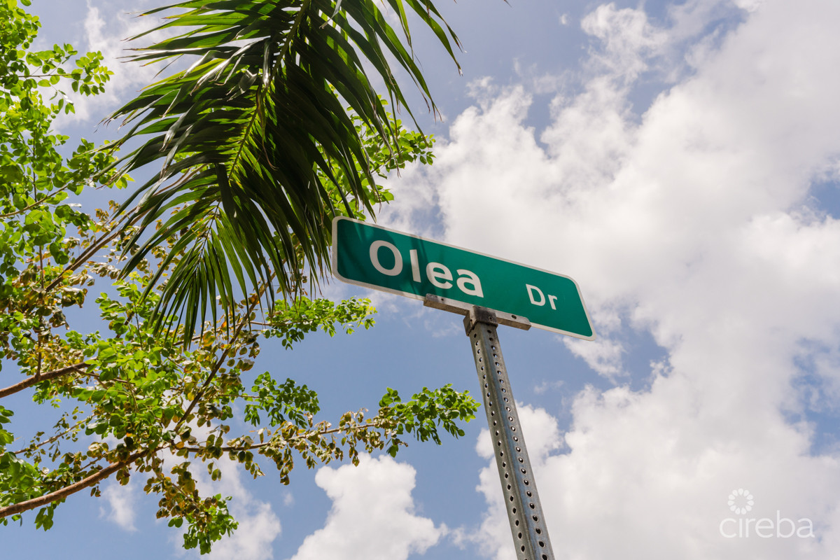20261020142756 olea Dr Sign