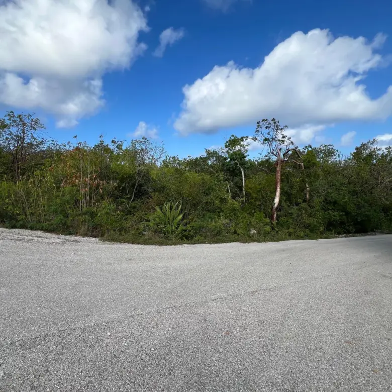 20260325164525 03807b69ab434842afa5ec0b400baa9d