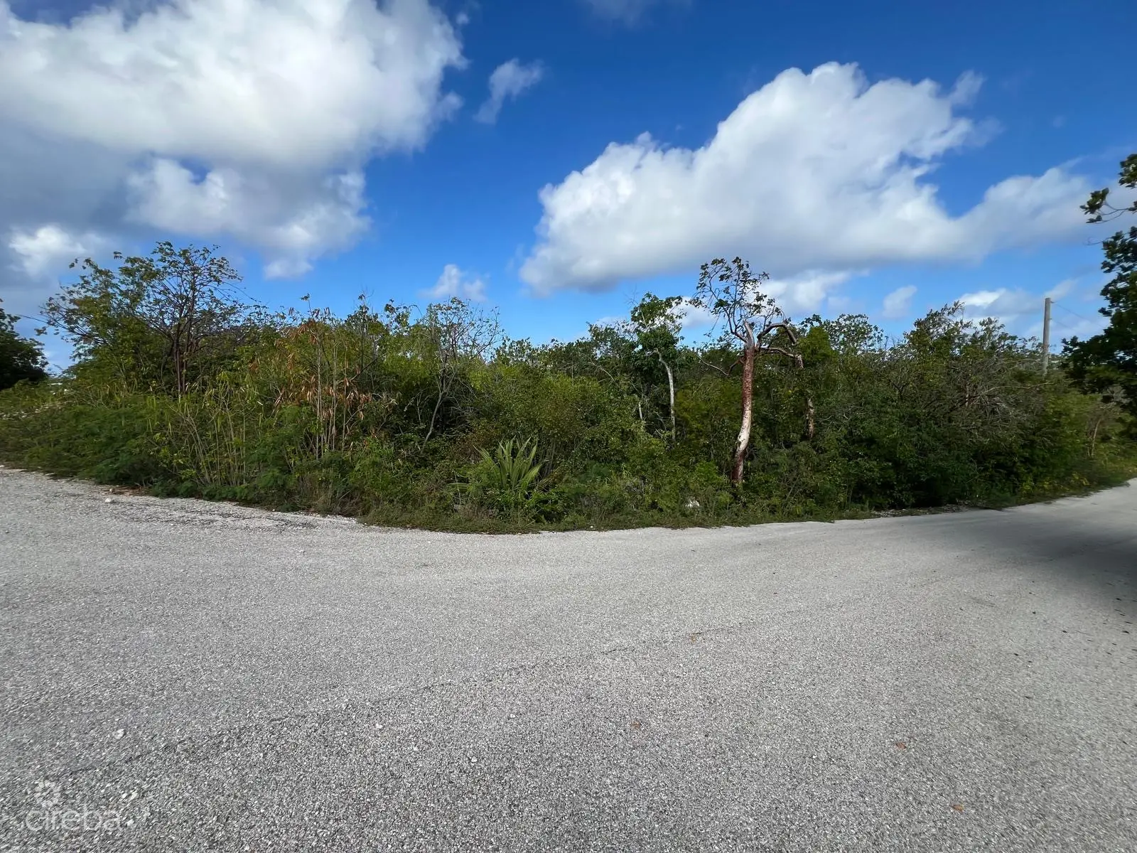 20260325164525 03807b69ab434842afa5ec0b400baa9d