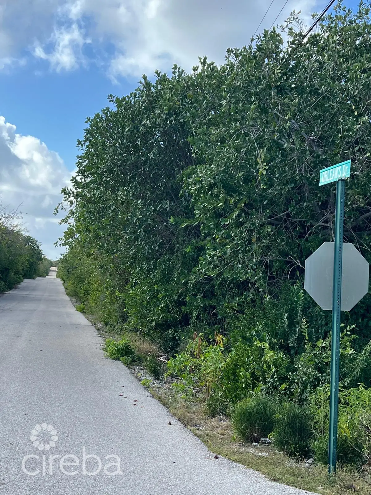 20260325164525 1041b95ce70b4ca4b1d4d663a46f4605