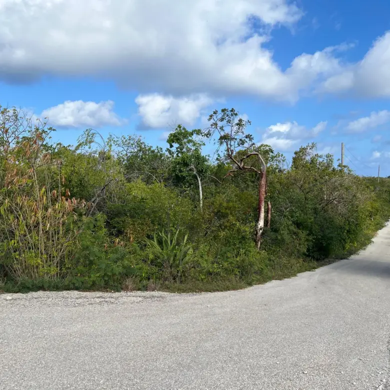 20260325164526 31c97e8005954480abcad53ae5a0151e