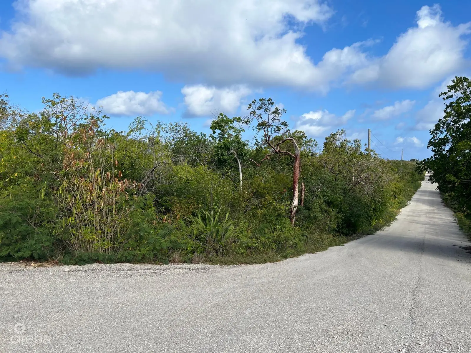 20260325164526 31c97e8005954480abcad53ae5a0151e