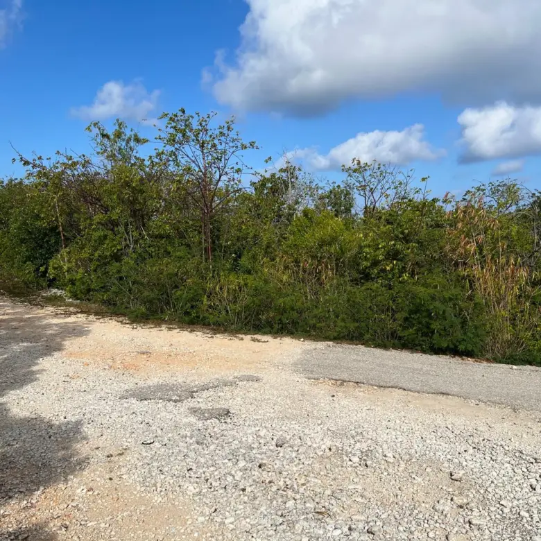 20260325164526 98c25c54012e4307be922fc144efe4b2