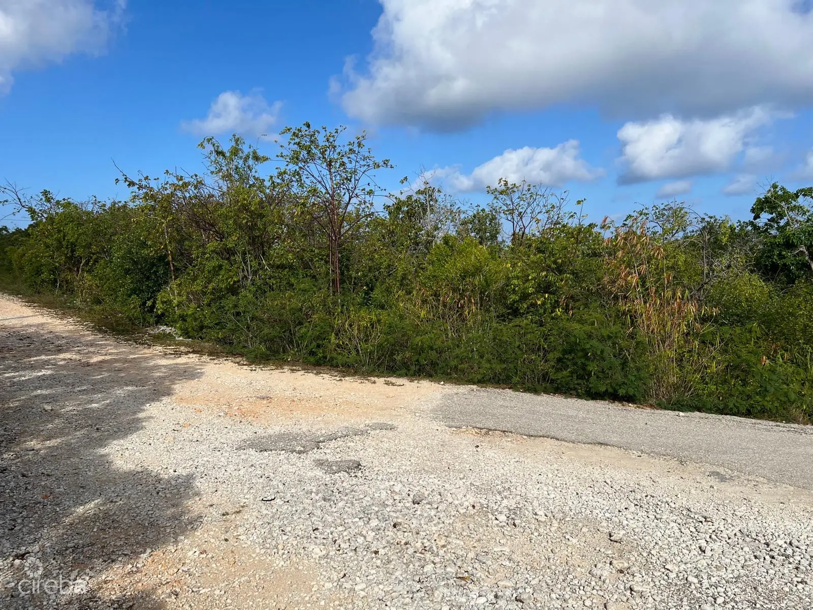 20260325164526 98c25c54012e4307be922fc144efe4b2