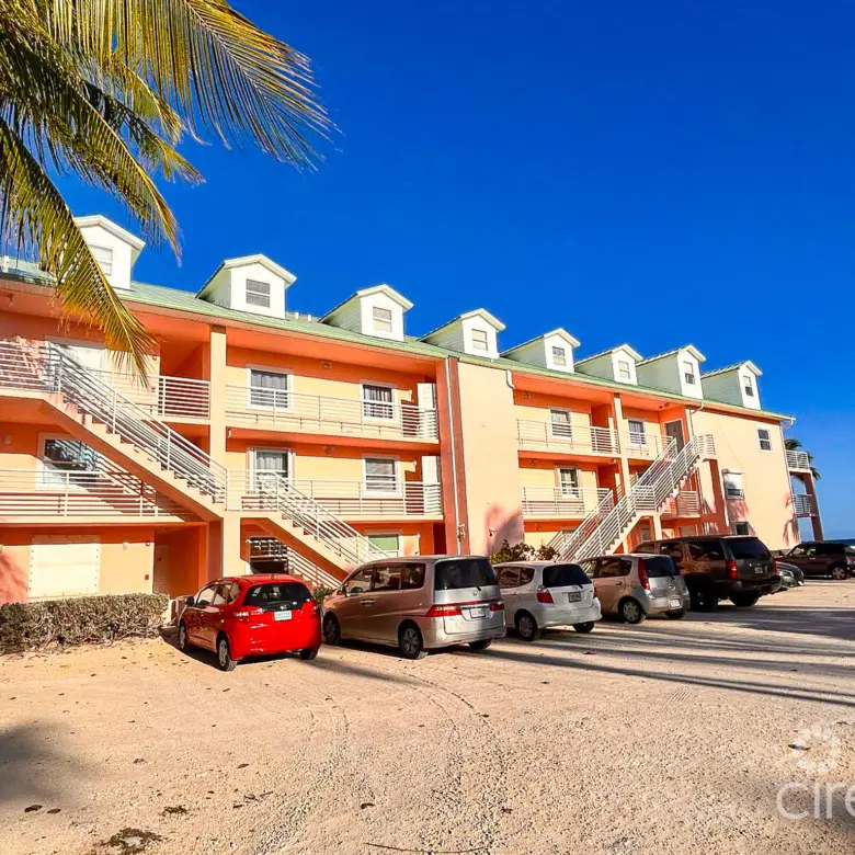 20260331164100 PHOTO202603291730536