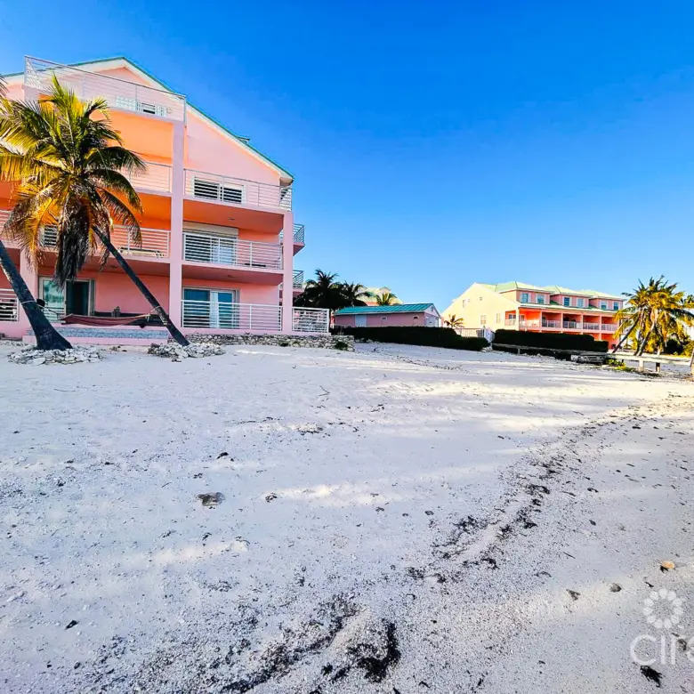 20260331164101 PHOTO20260329173050