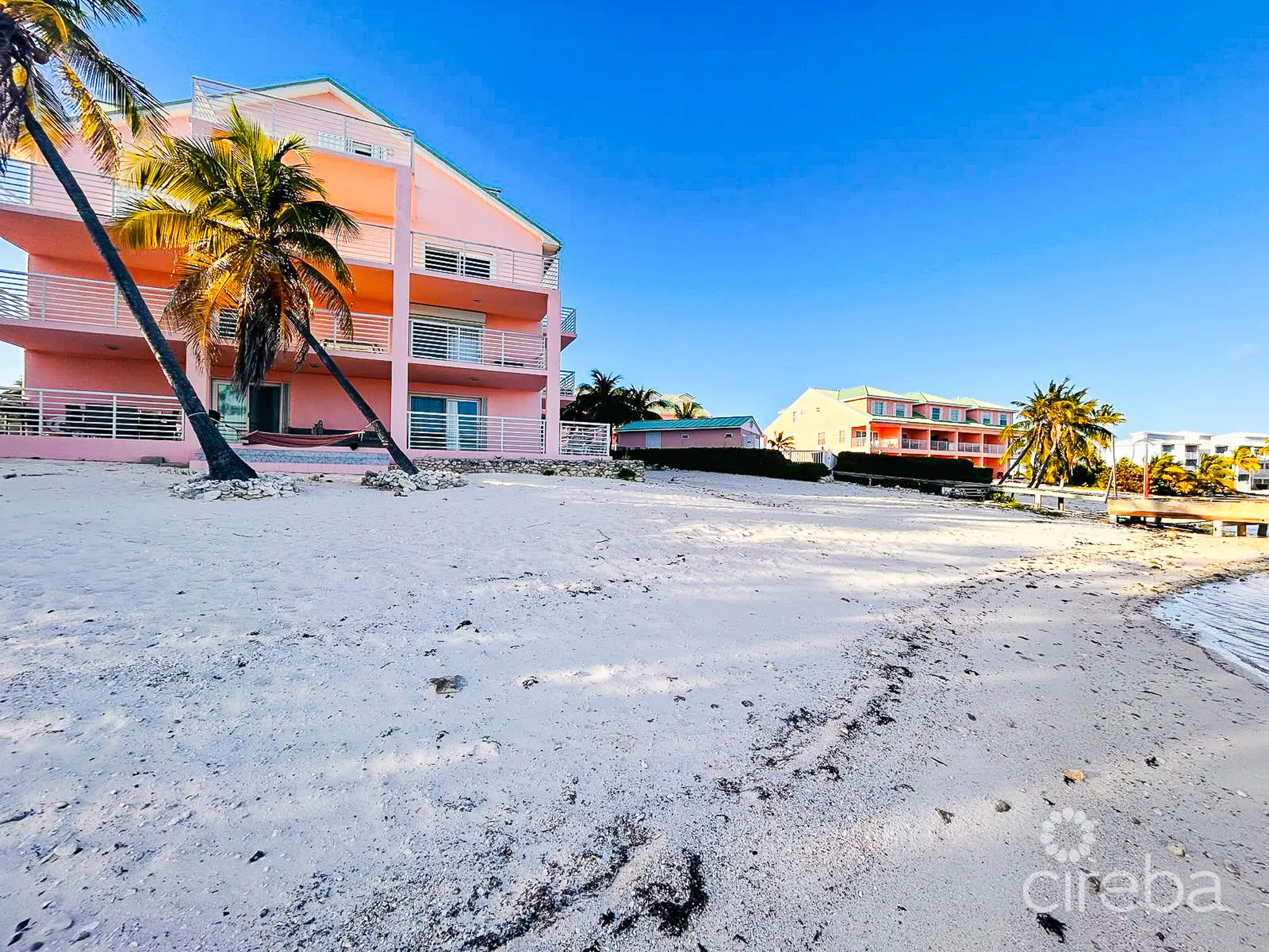 20260331164101 PHOTO20260329173050