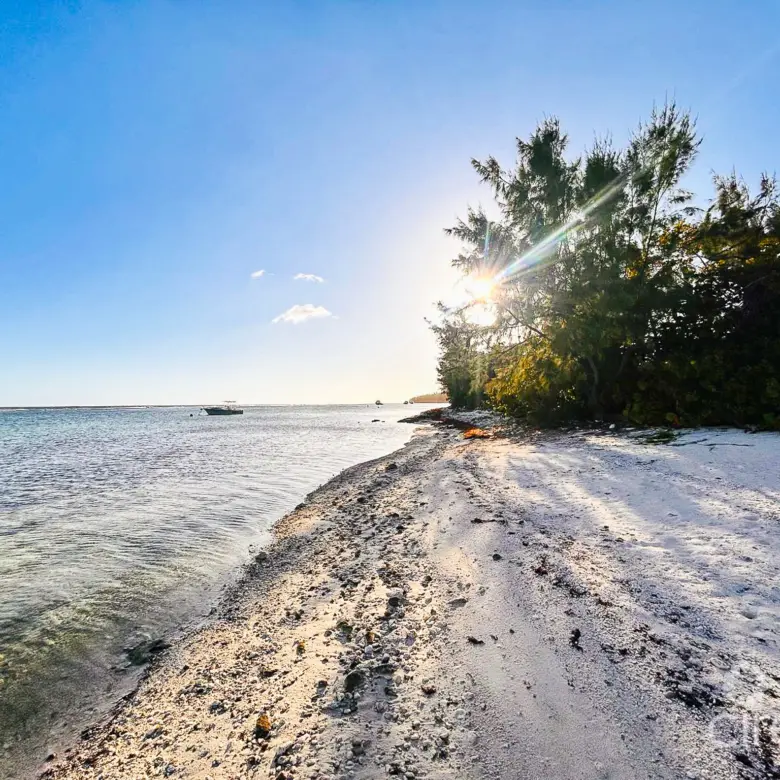 20260331164102 PHOTO20260329173052