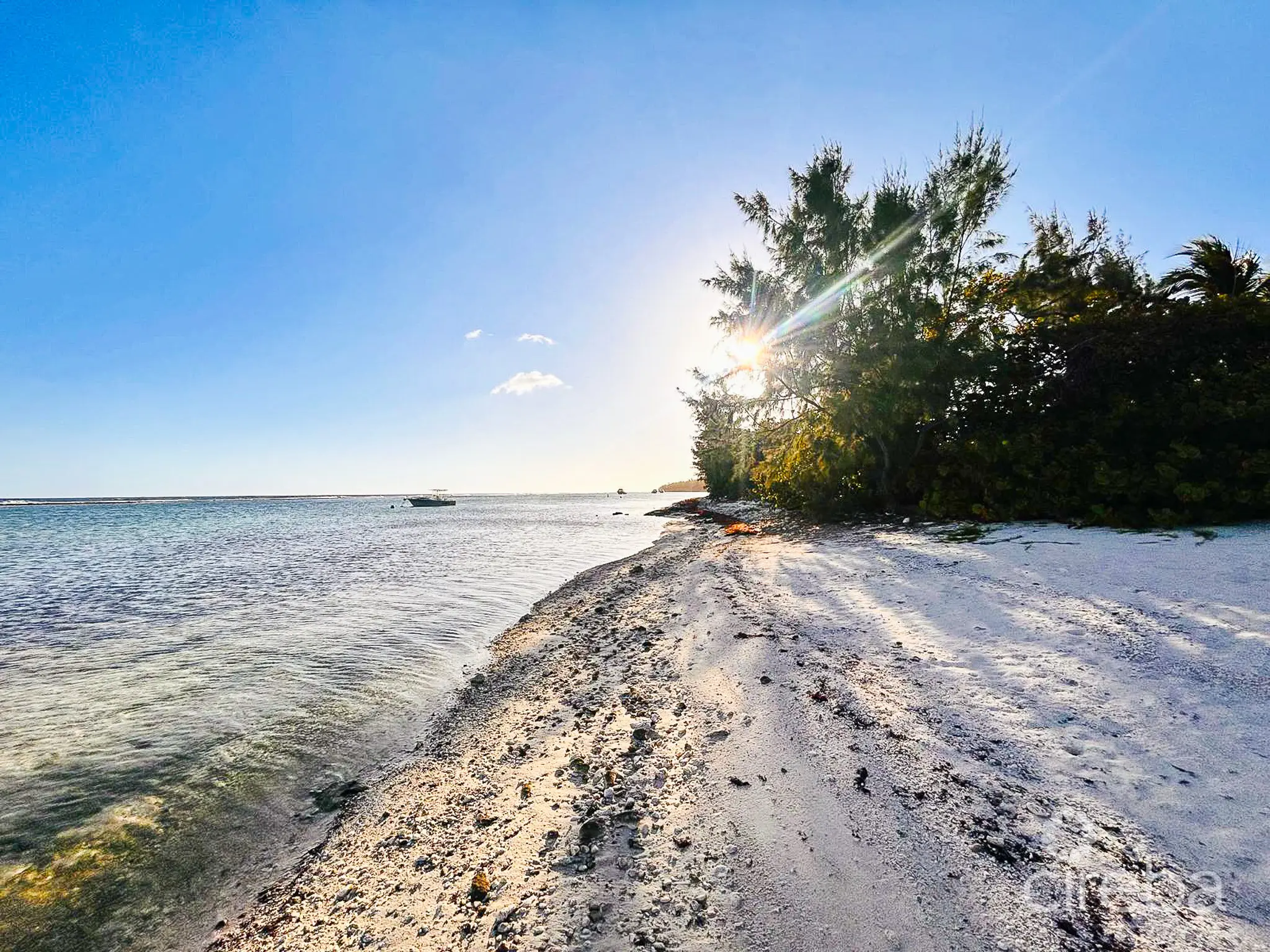 20260331164102 PHOTO20260329173052