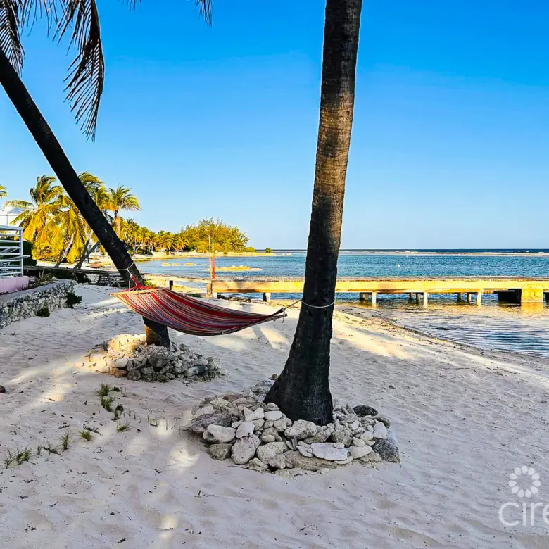 20260331164102 PHOTO202603291730524