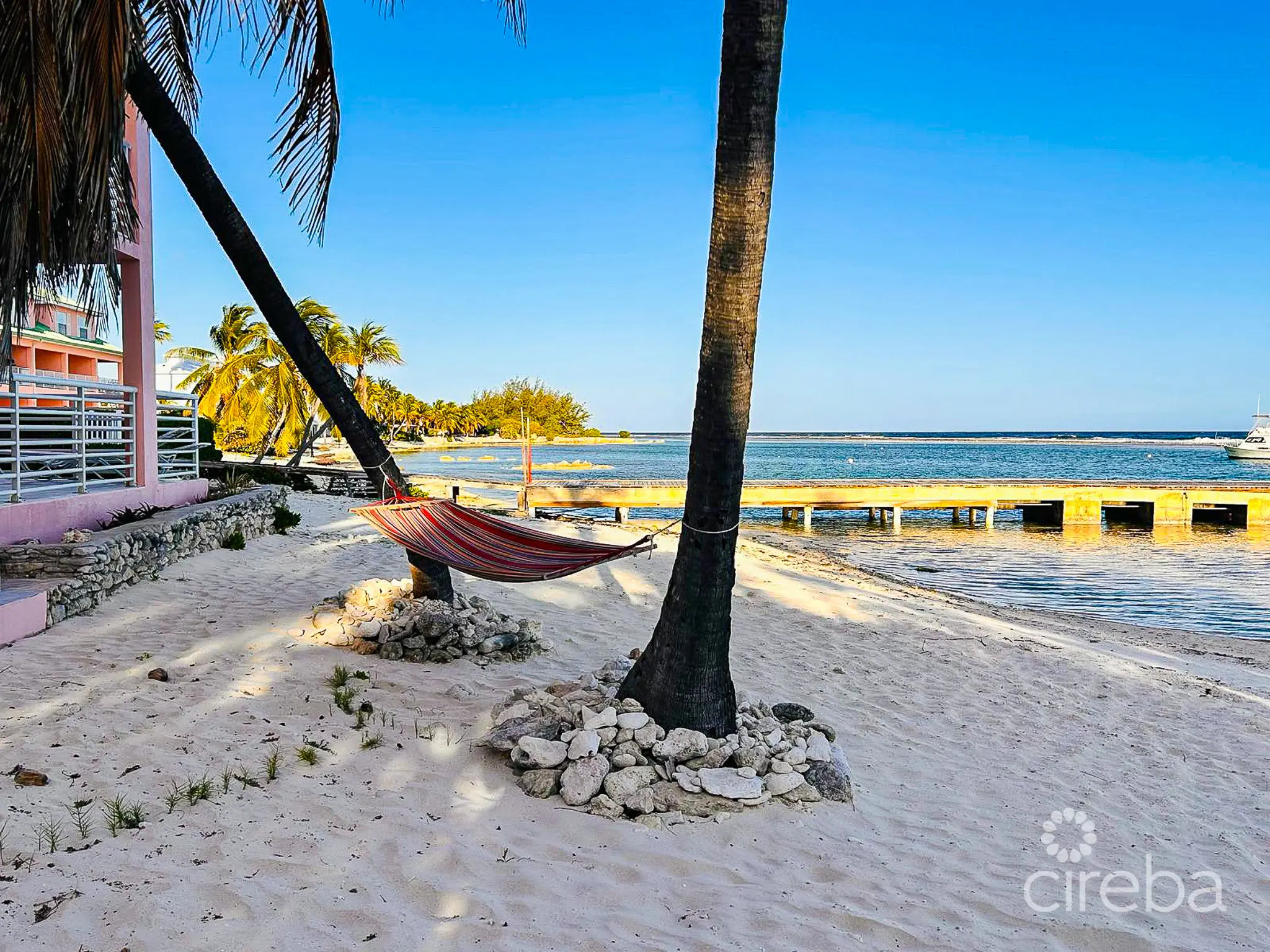 20260331164102 PHOTO202603291730524