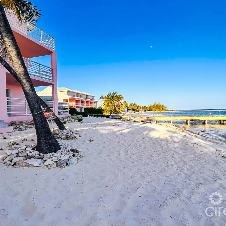 20260331164103 PHOTO202603291730522