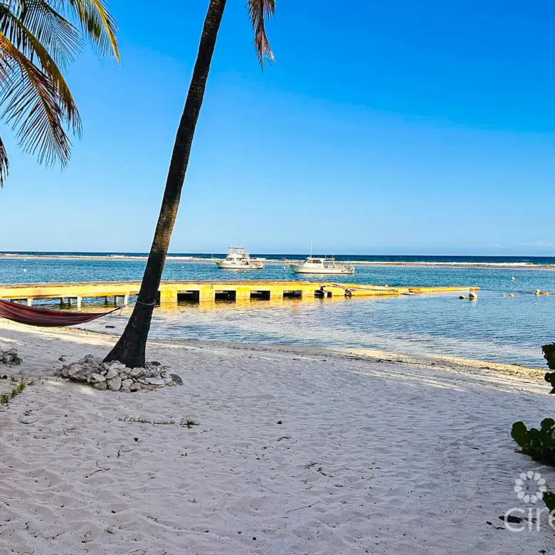 20260331164104 PHOTO202603291730523Edit