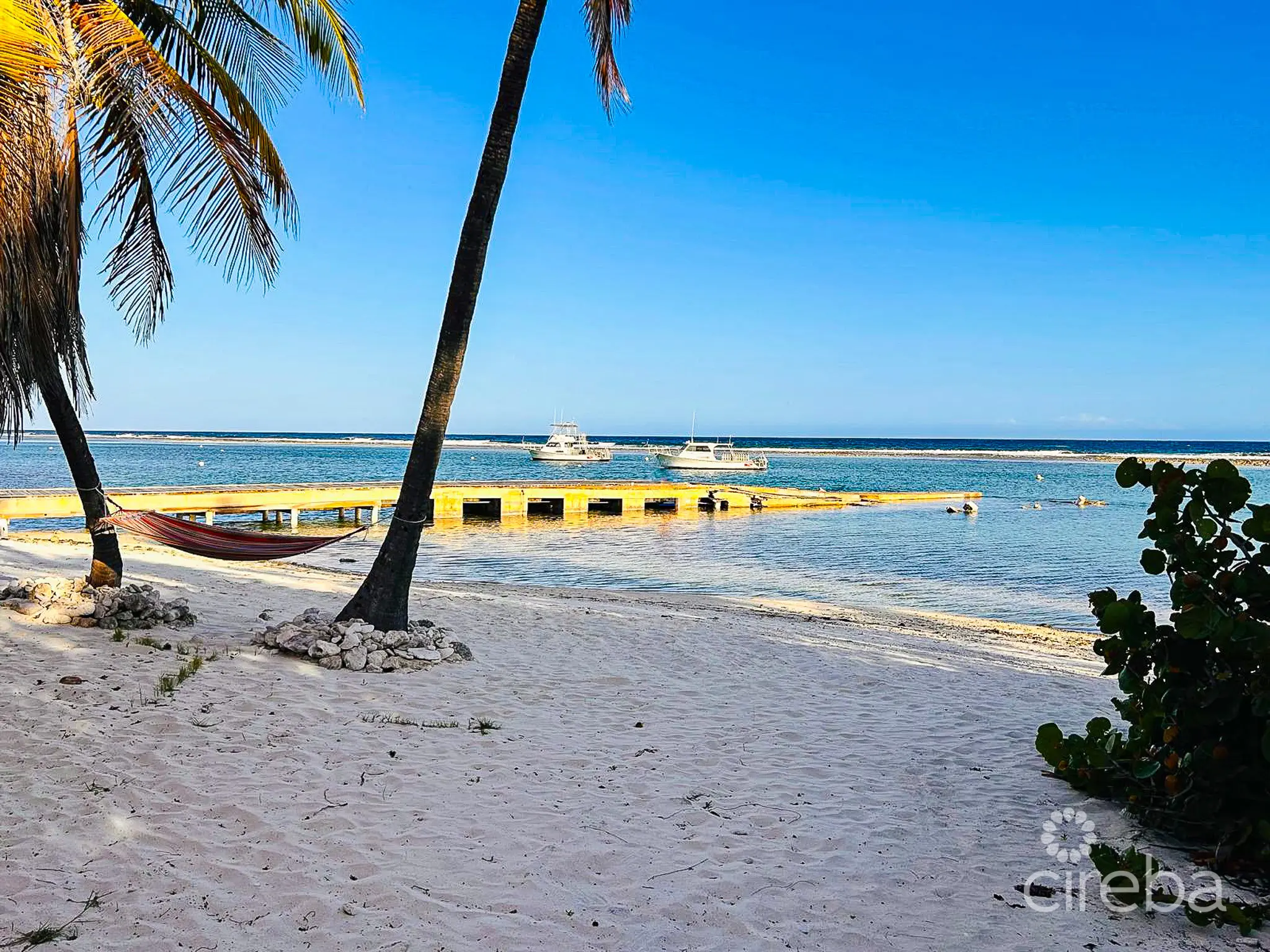 20260331164104 PHOTO202603291730523Edit