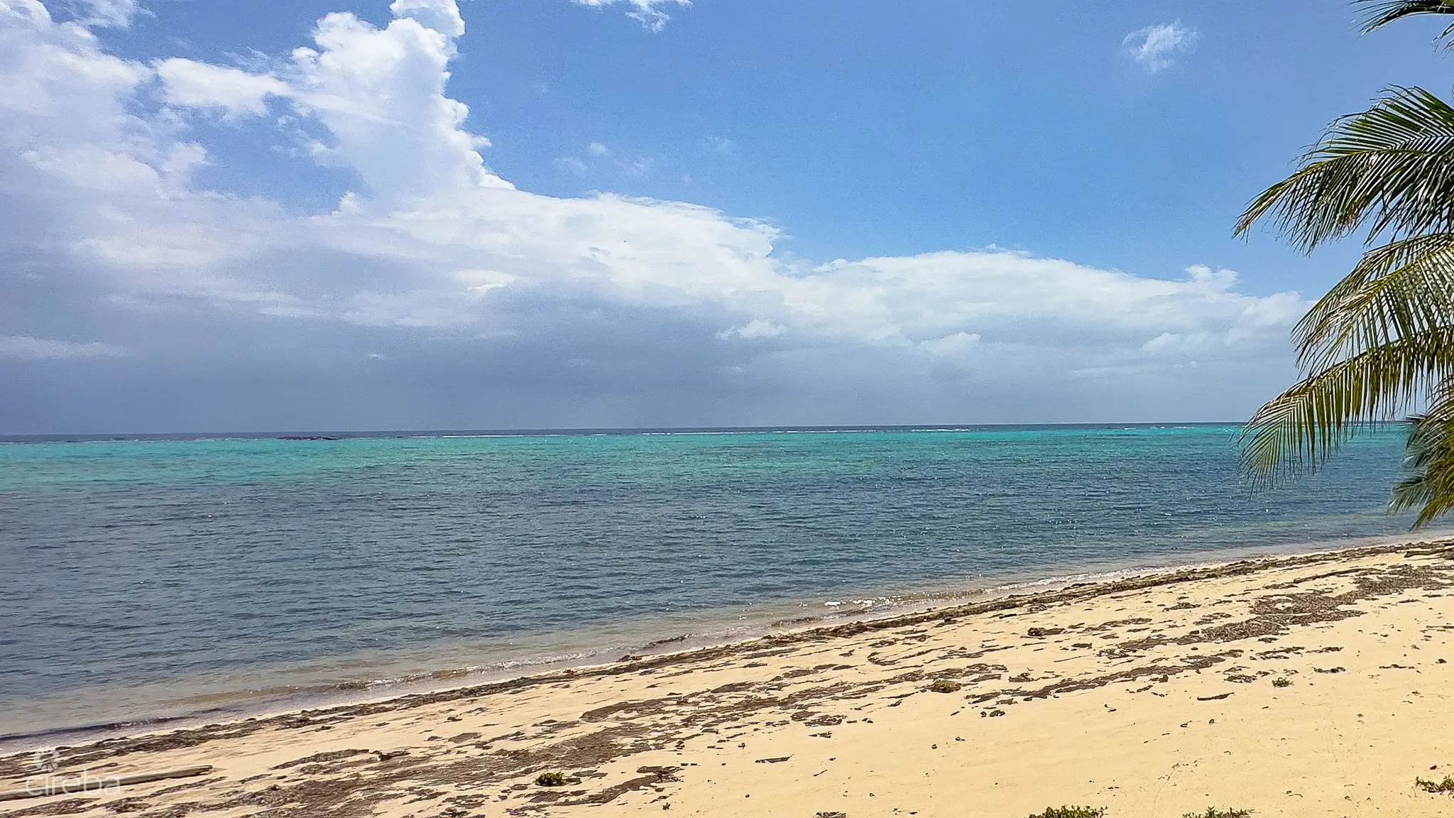 20260401160852 IMG 3034Edit