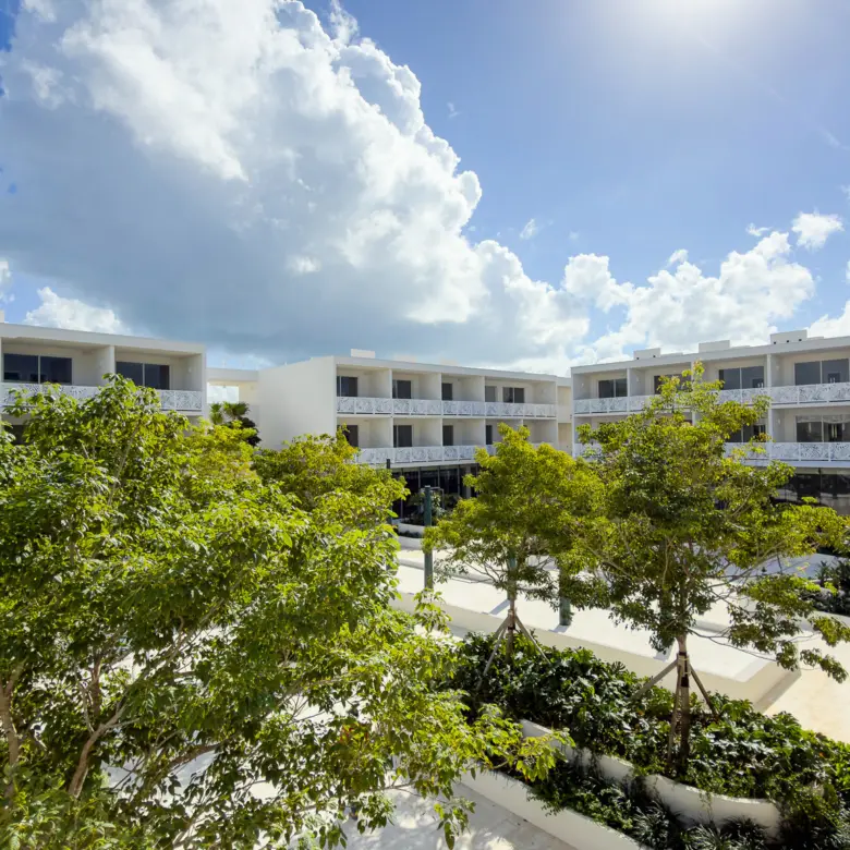 20260331120539 IMG 2969