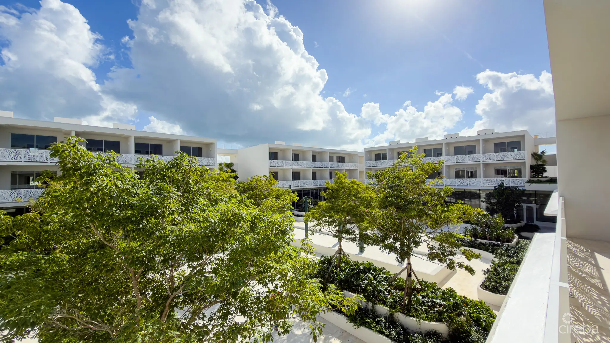 20260331120539 IMG 2969