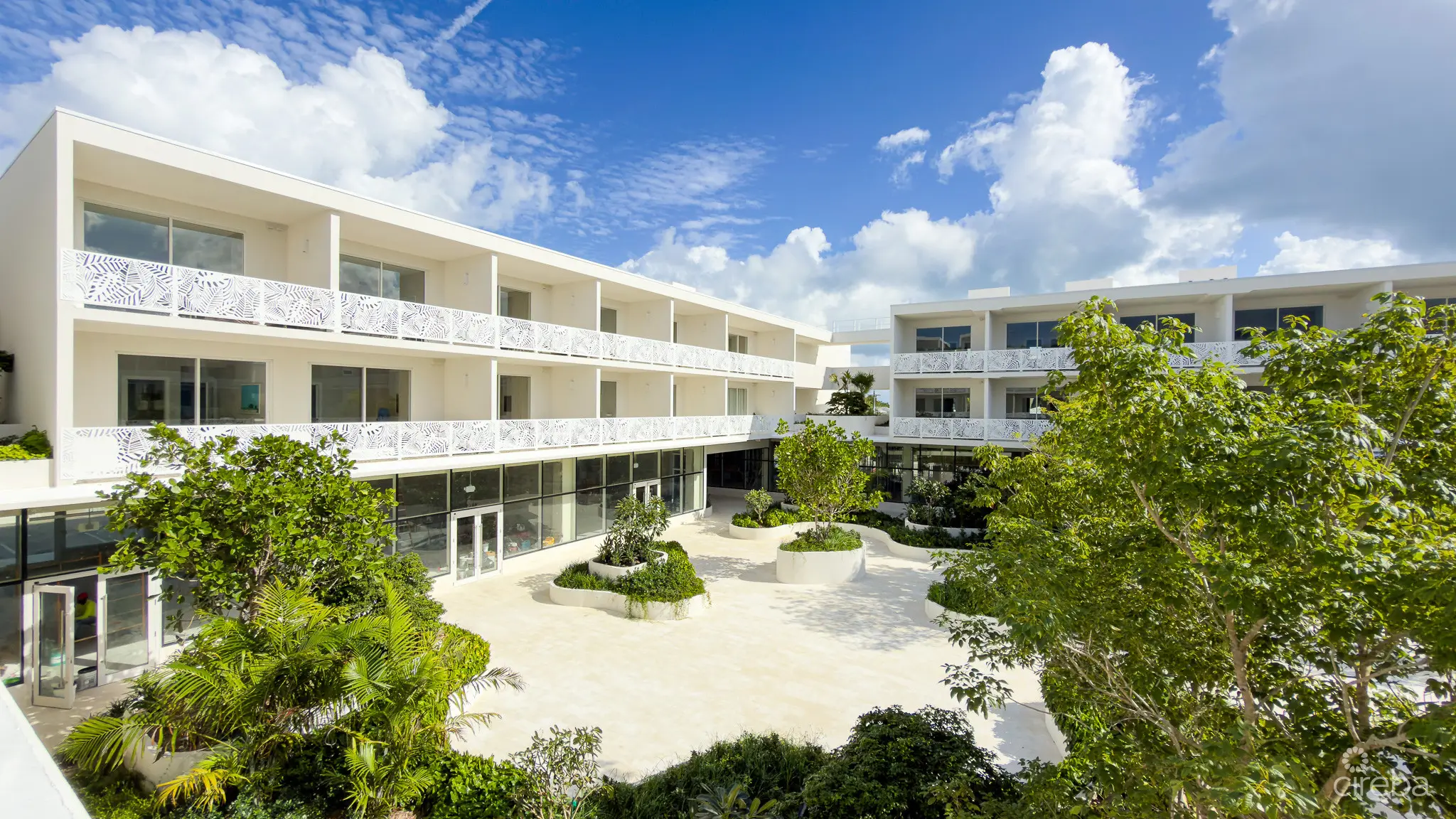 20260331120540 IMG 2974