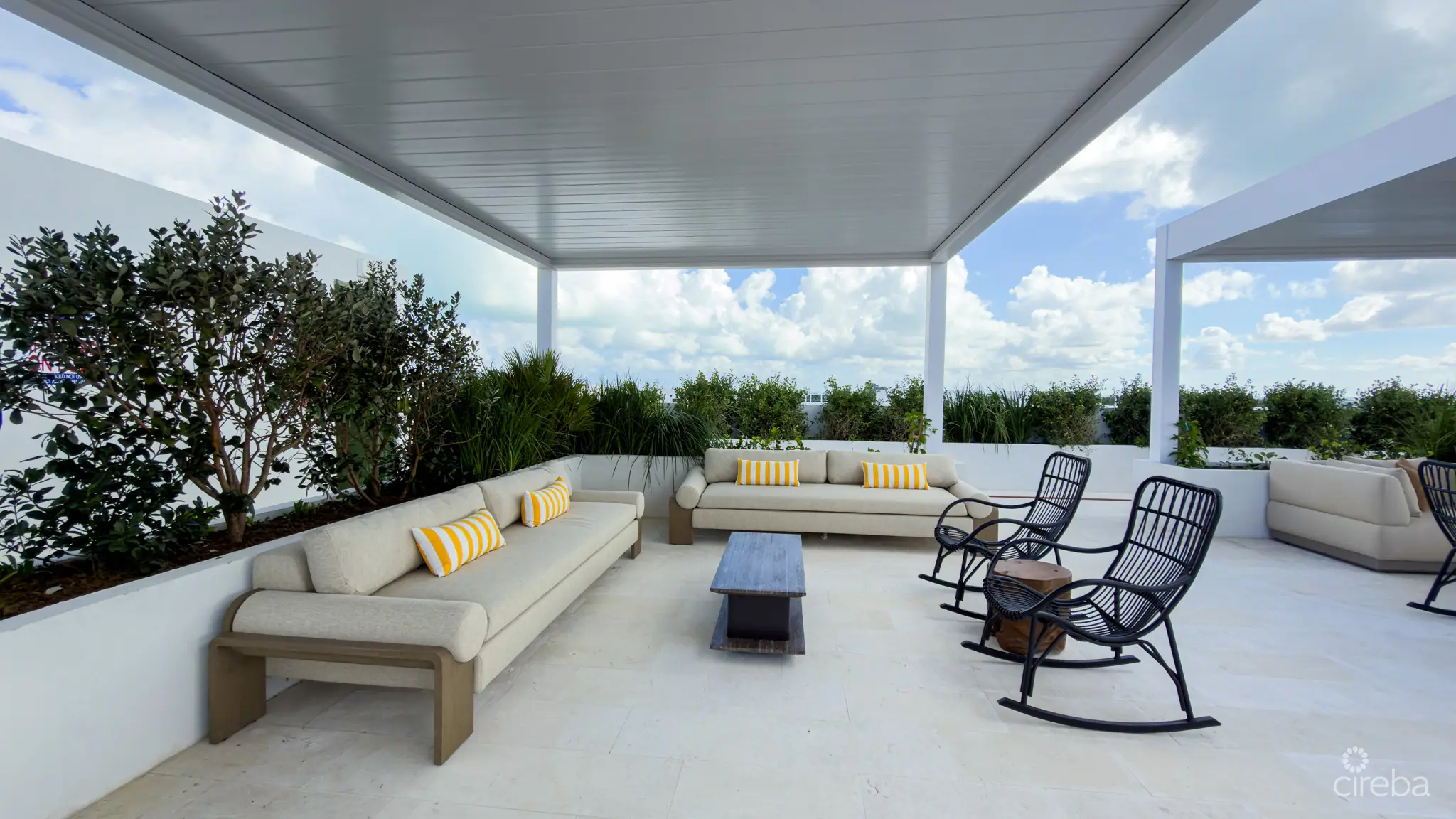 20260331120542 IMG 3019