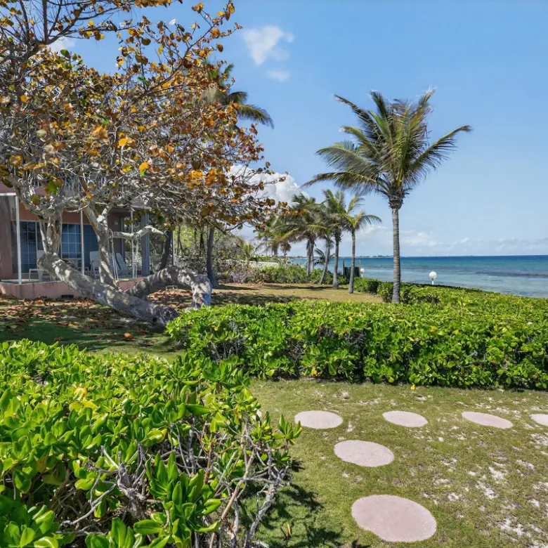 20260324125428 CIREBANorthernLights38