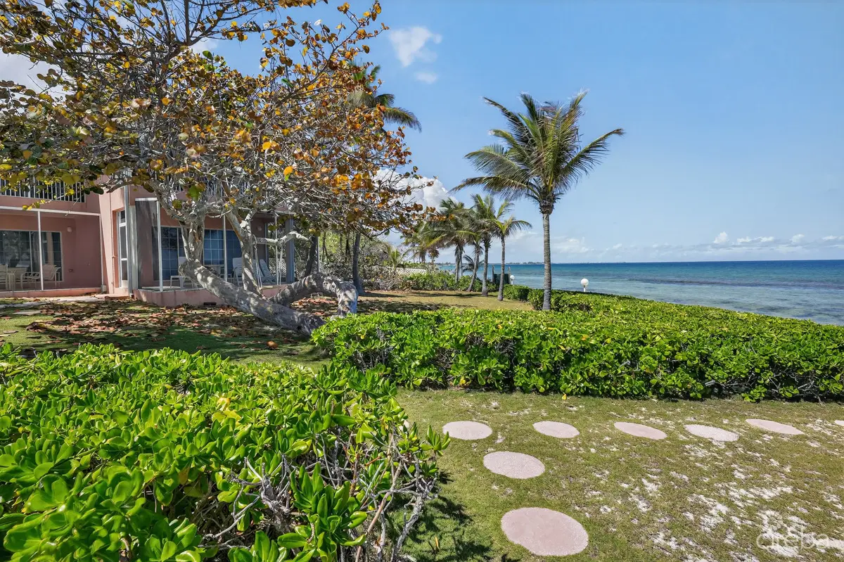 20260324125428 CIREBANorthernLights38