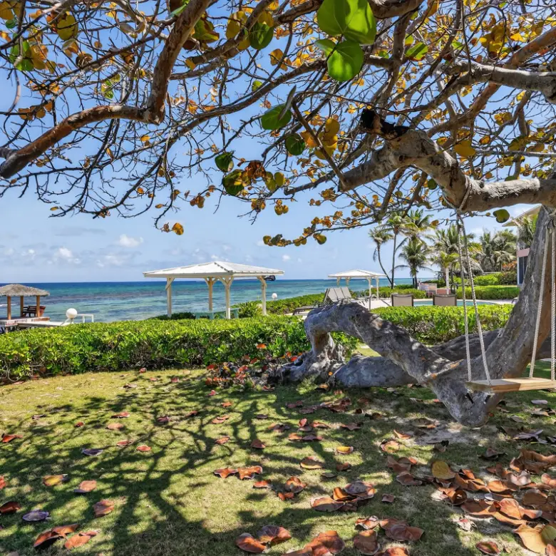 20260324125430 CIREBANorthernLights59