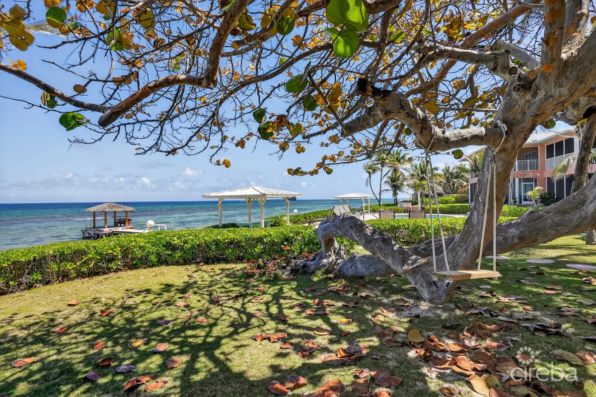 20260324125430 CIREBANorthernLights59