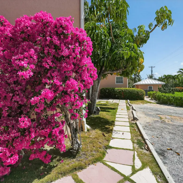 20260324125431 CIREBANorthernLights60