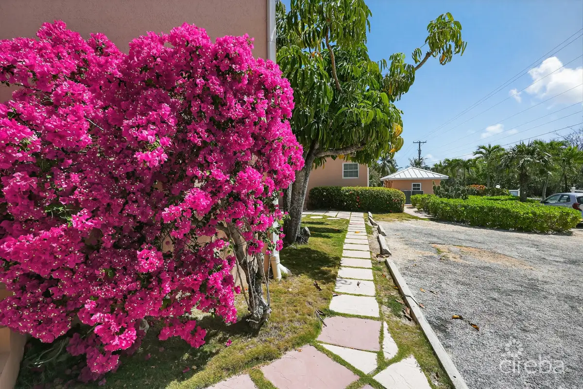 20260324125431 CIREBANorthernLights60