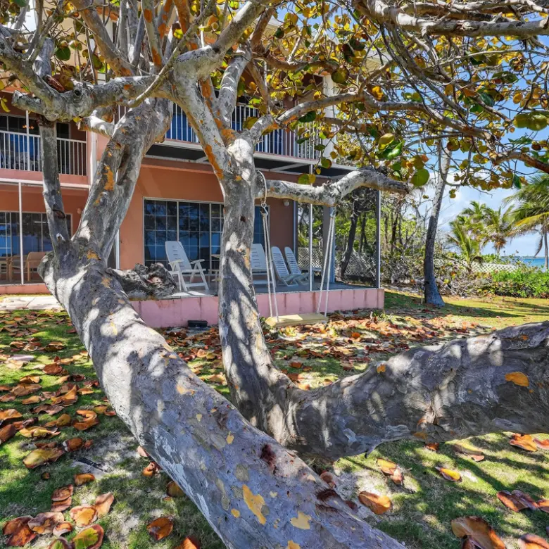 20260324125431 CIREBANorthernLightsEXTERIOR BOTH