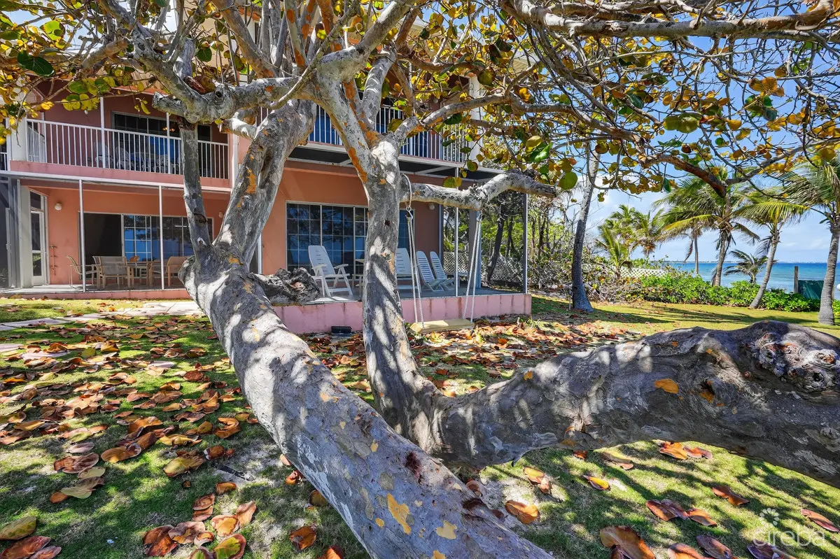 20260324125431 CIREBANorthernLightsEXTERIOR BOTH