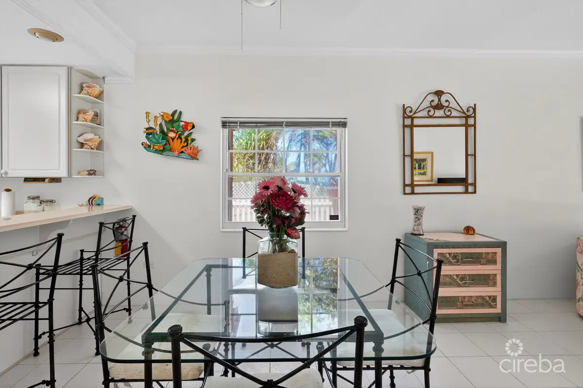 20260324132759 CIREBANorthernLights9