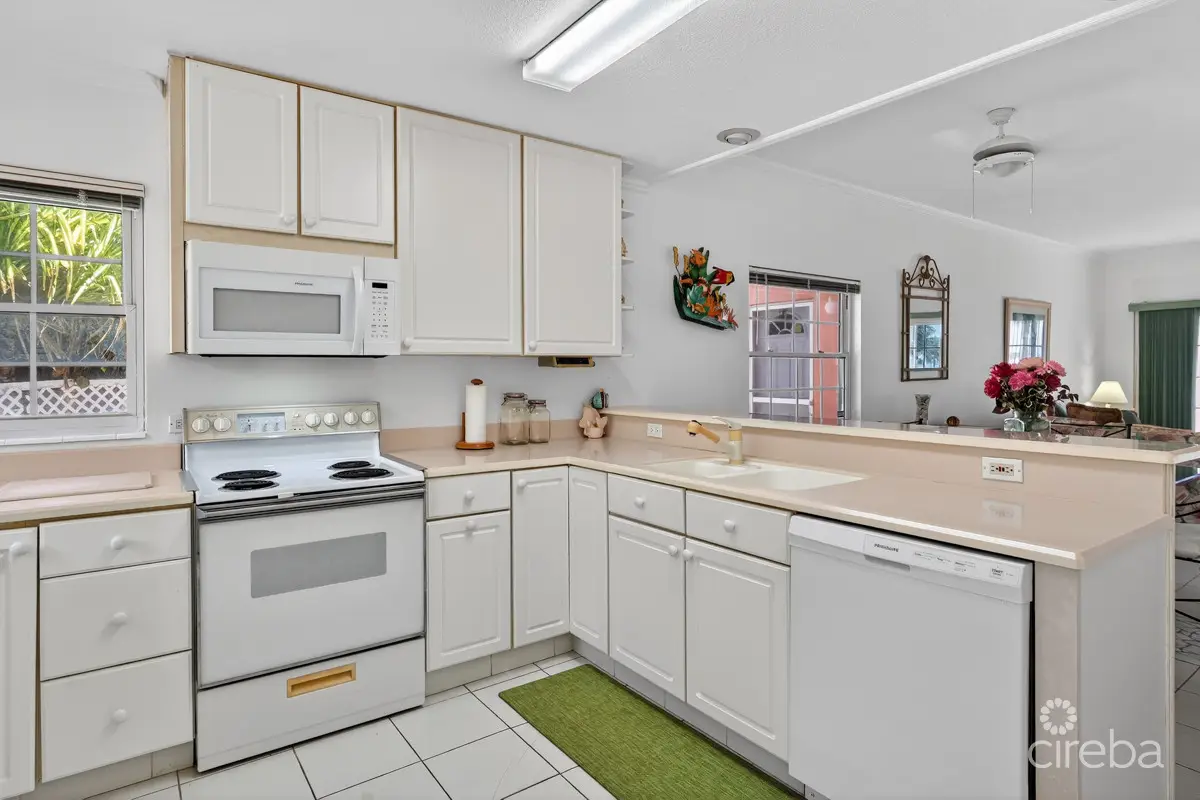 20260324132800 CIREBANorthernLights14