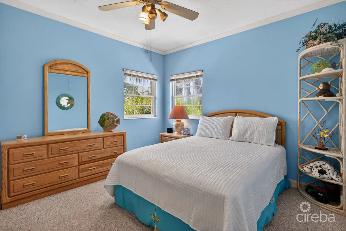 20260324132800 CIREBANorthernLights23