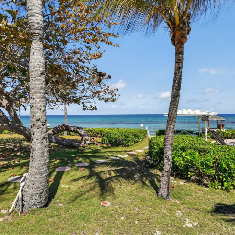 20260324132804 CIREBANorthernLights35