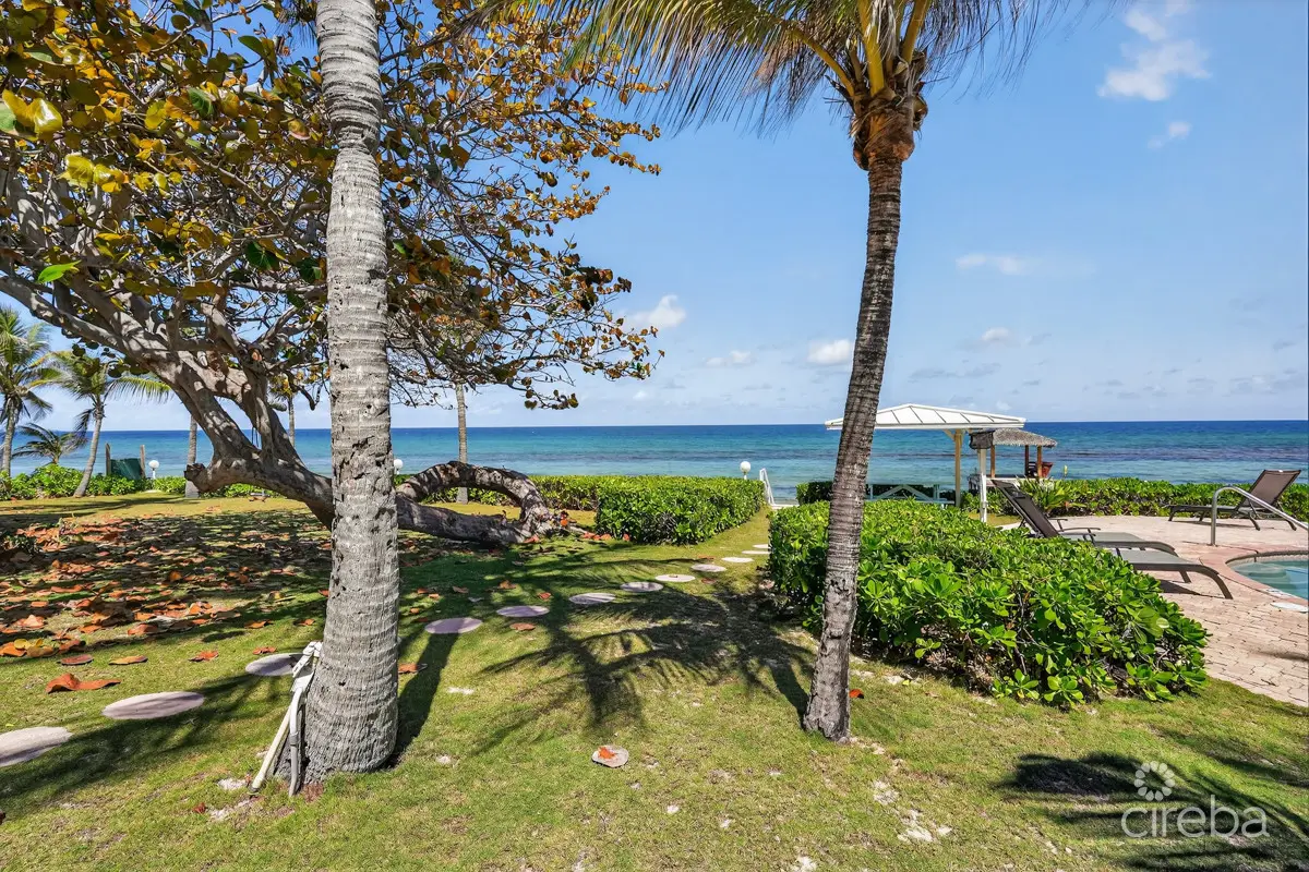 20260324132804 CIREBANorthernLights35